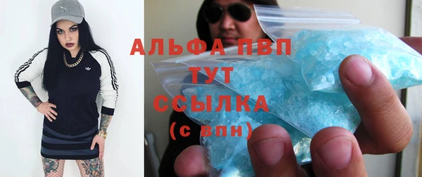 стафф Богородицк