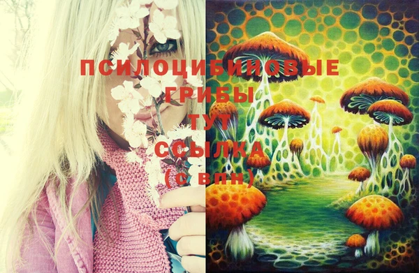 меф VHQ Богданович