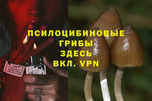 марки lsd Богородск