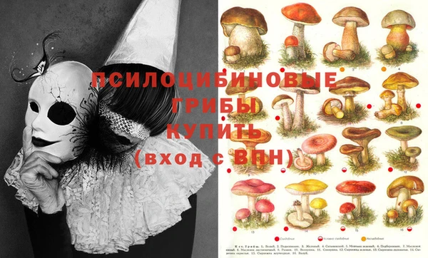 меф VHQ Богданович