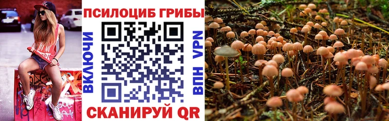 Псилоцибиновые грибы Cubensis  Княгинино 