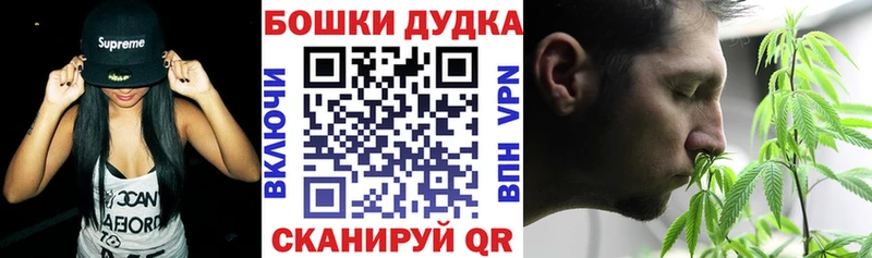 Конопля семена  купить  сайты  сайты даркнета официальный сайт  Княгинино 